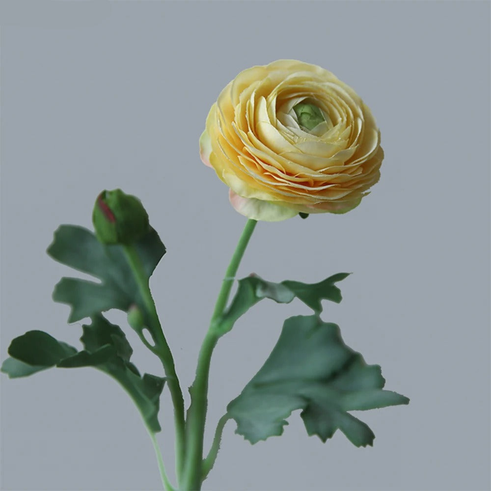 Renoncules_Artificielles-jaune