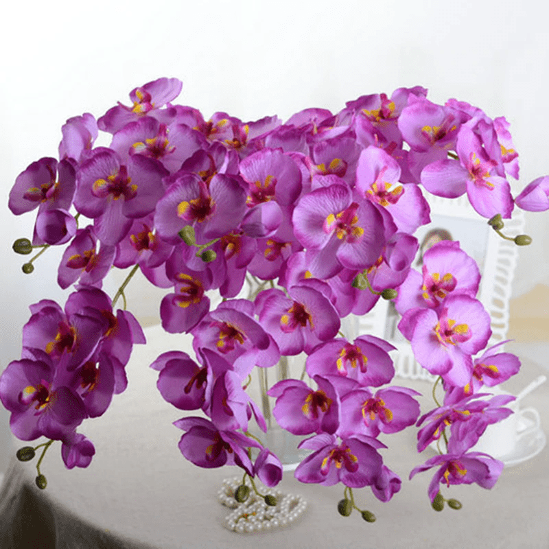 Orchidées Speciosa Artificielles