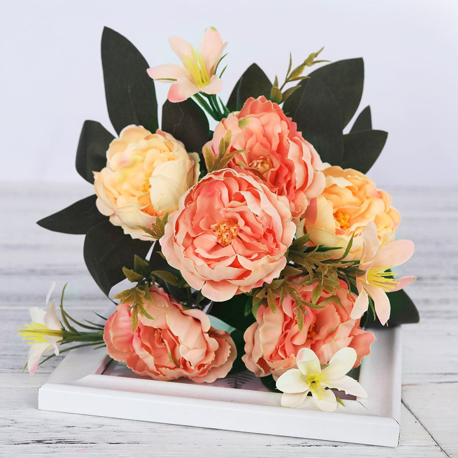 Pivoines Paeonia Suffruticosa Orange