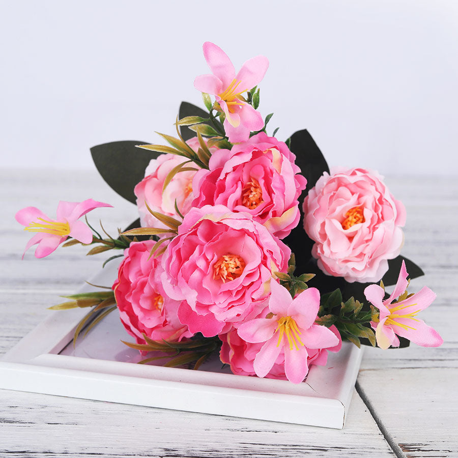 Pivoines Paeonia Suffruticosa