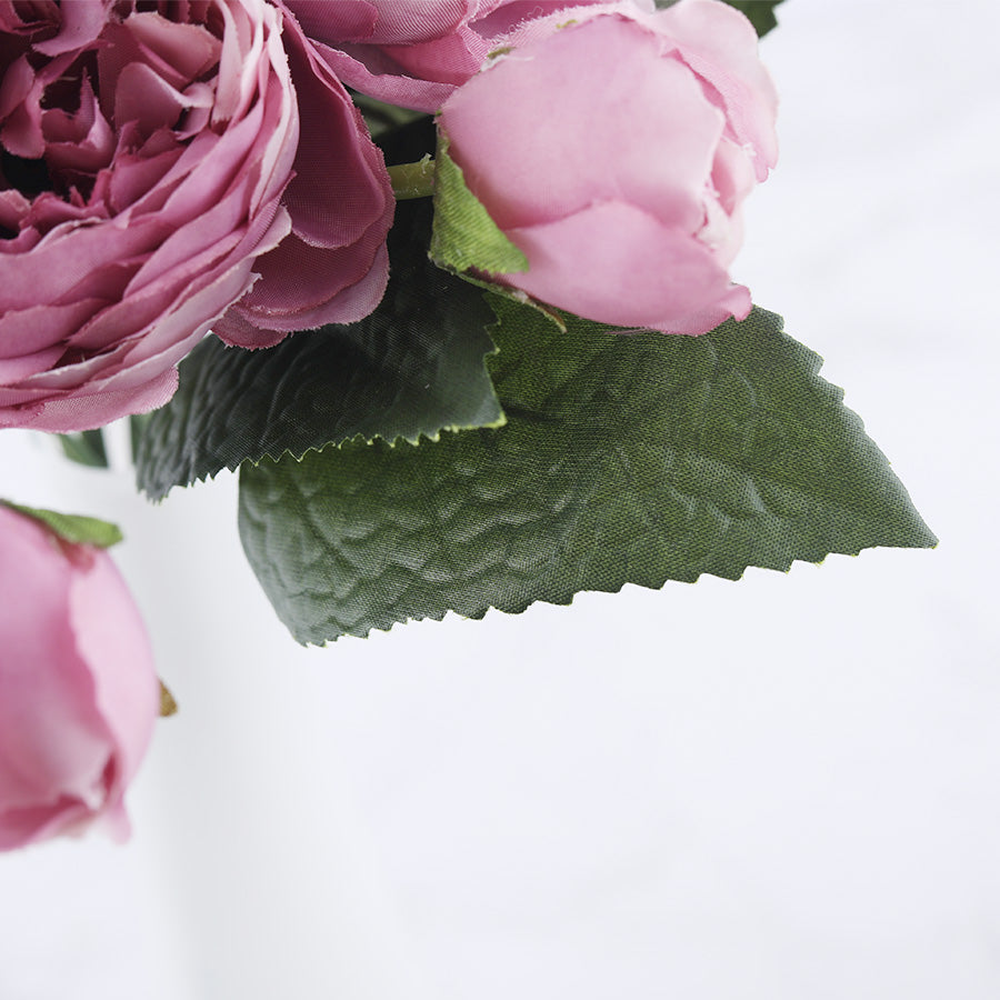 Pivoines Paeonia Lactiflora