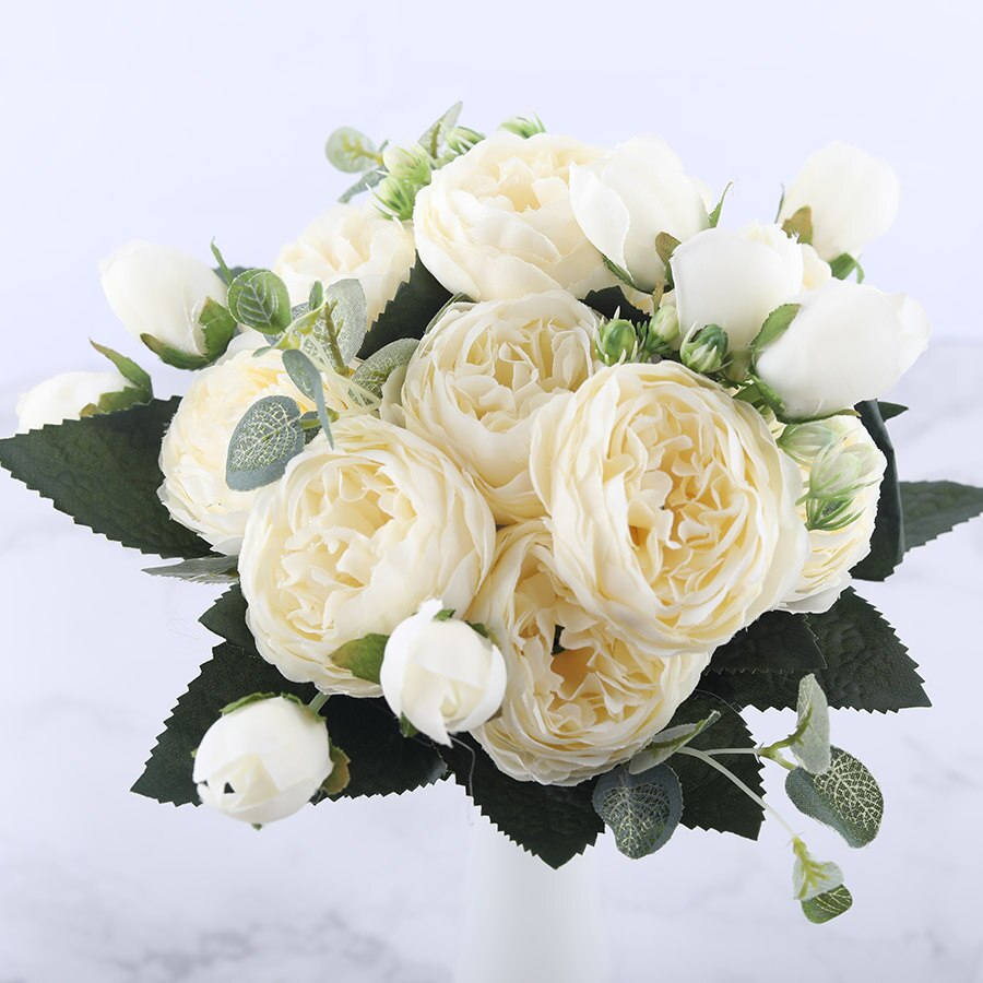 Pivoines Paeonia Lactiflora Blanches