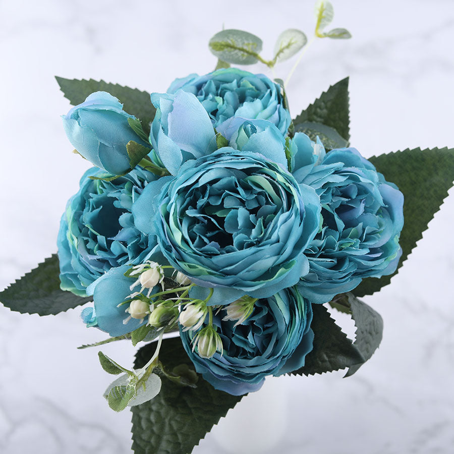 Pivoines Paeonia Lactiflora Bleues
