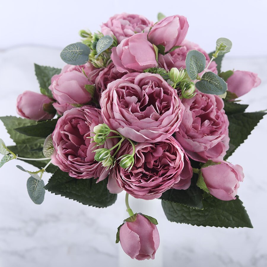 Pivoines Paeonia Lactiflora Violettes