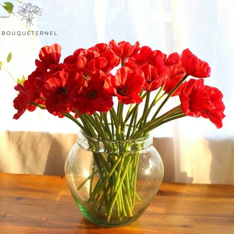 Coquelicots Dubium Artificiels