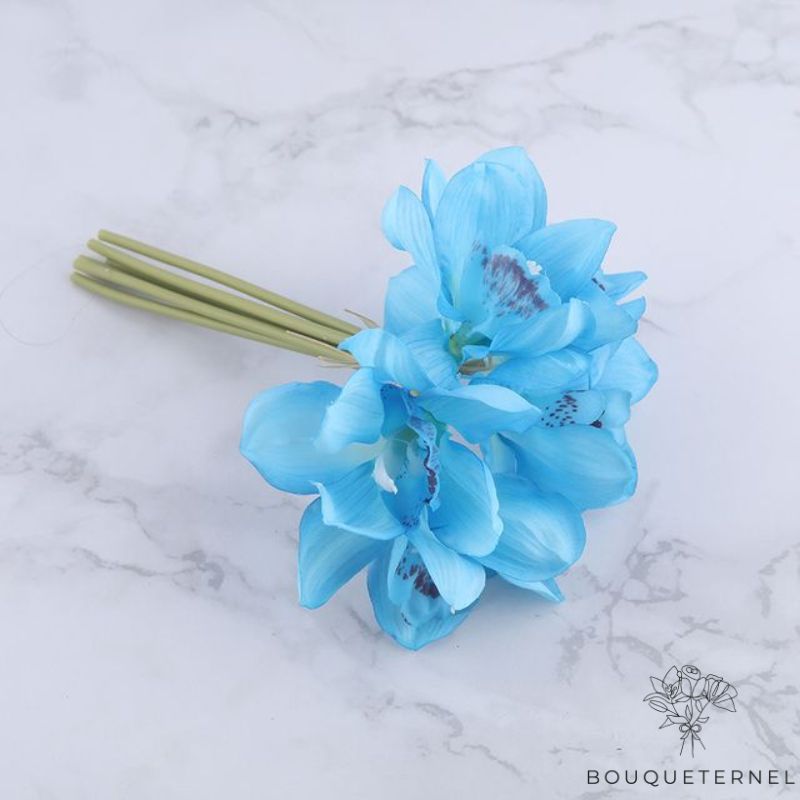 Fausse Orchidée Bleue Bleue