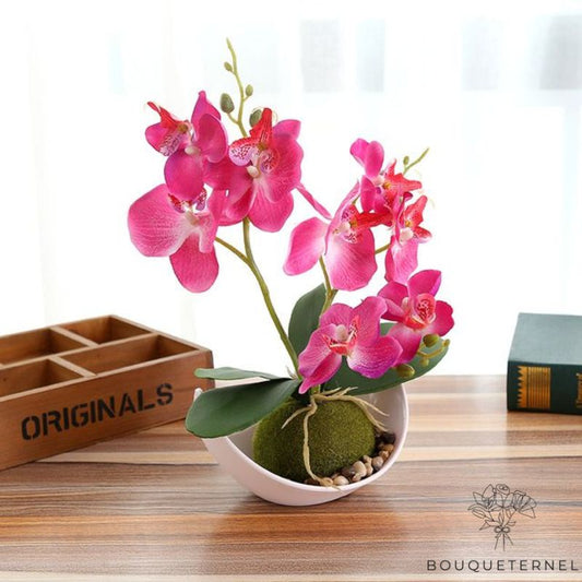 Fausse Orchidée En Pot Rose