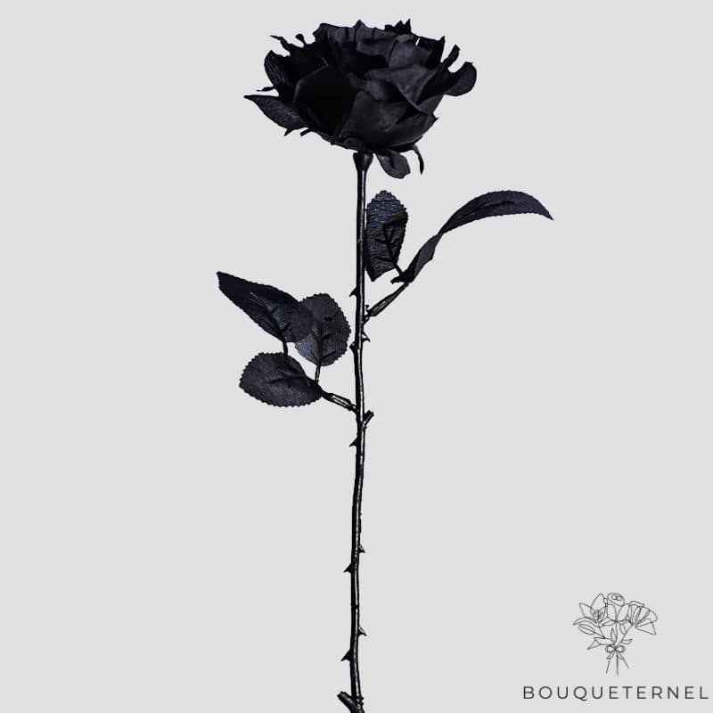 Fausse Rose Noire Noire