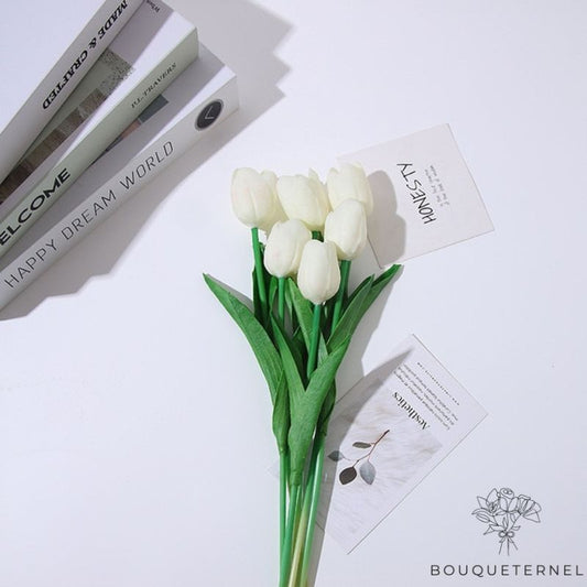 Fausse Tulipe Blanche Blanche