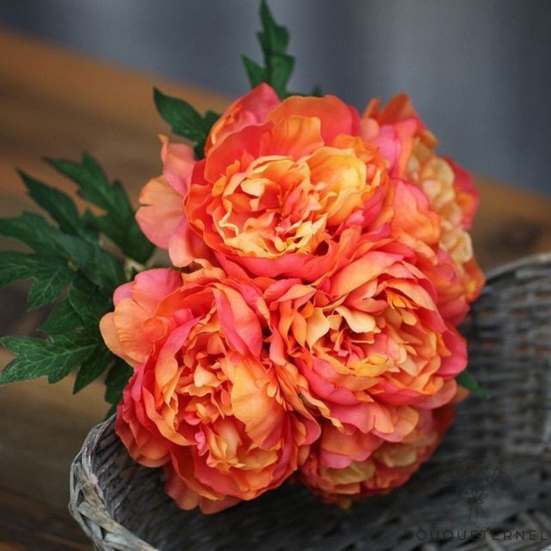 Fausses Pivoines Orange