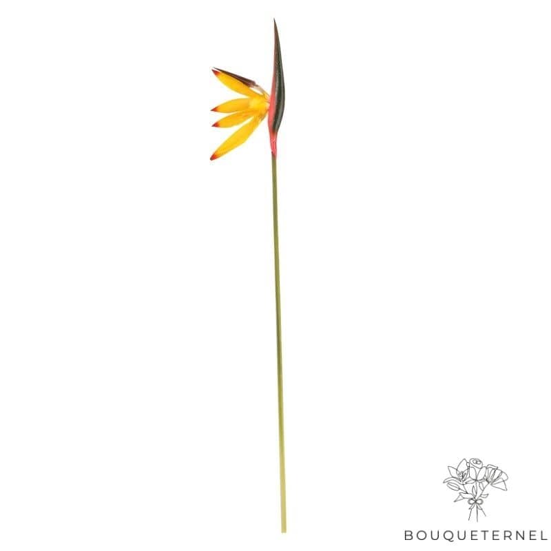 Fleurs Oiseau de Paradis Regalis Artificielles