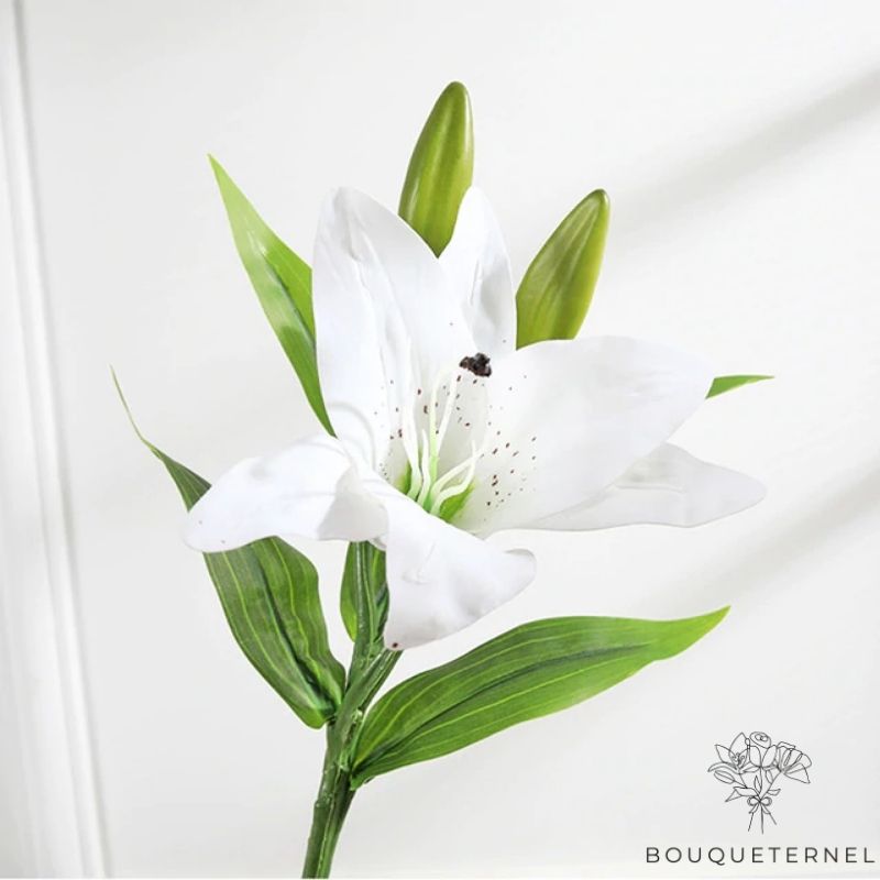 Fleurs de Lys Striatum Artificielles Blanche