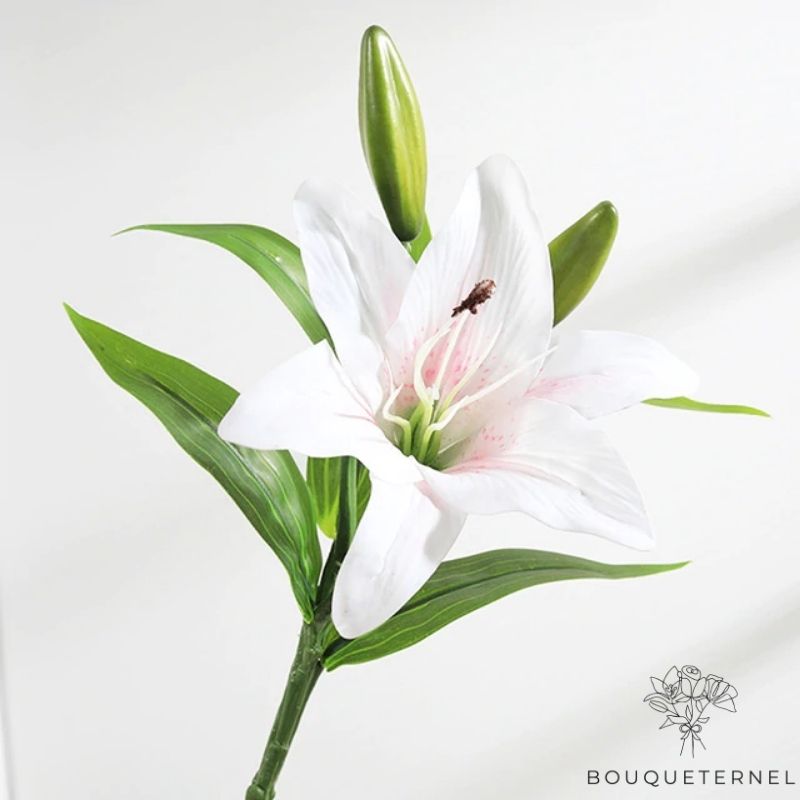 Fleurs de Lys Striatum Artificielles Blanche et Rose