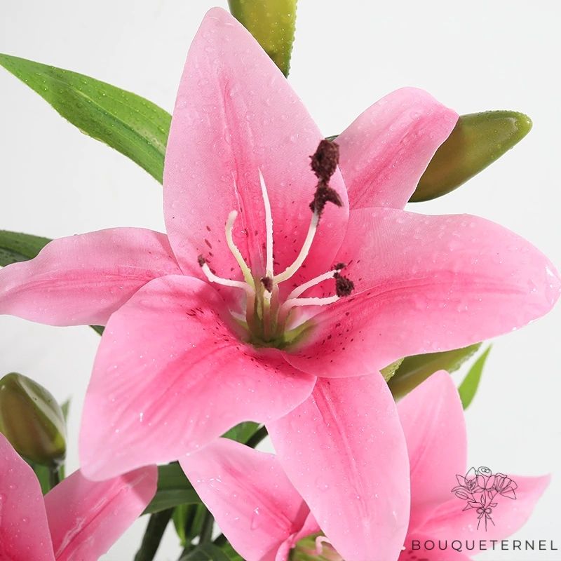 Fleurs de Lys Striatum Artificielles