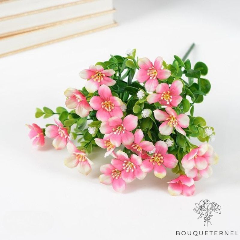 Fleur et Plante de Toussaint Rose