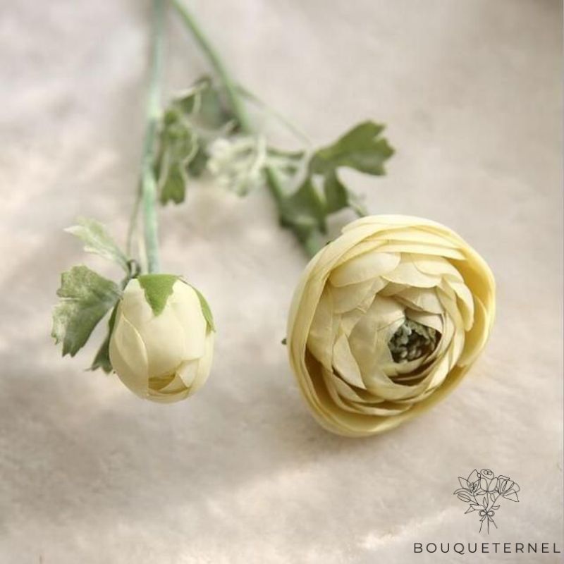 Fleur de Tombes Jaune | Lot de 3