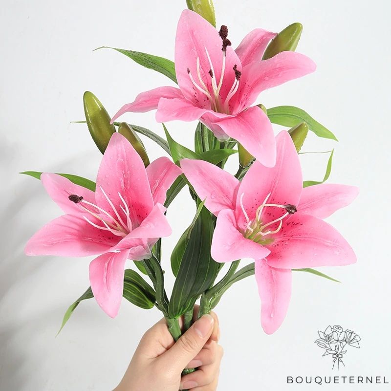 Fleurs de Lys Striatum Artificielles