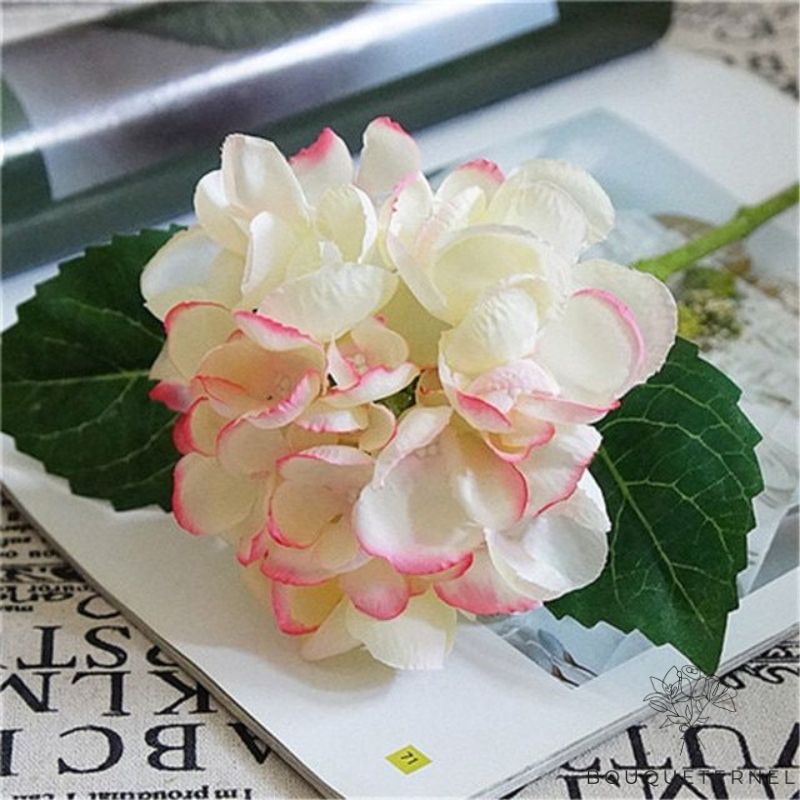 Fleurs de Tombe Blanche