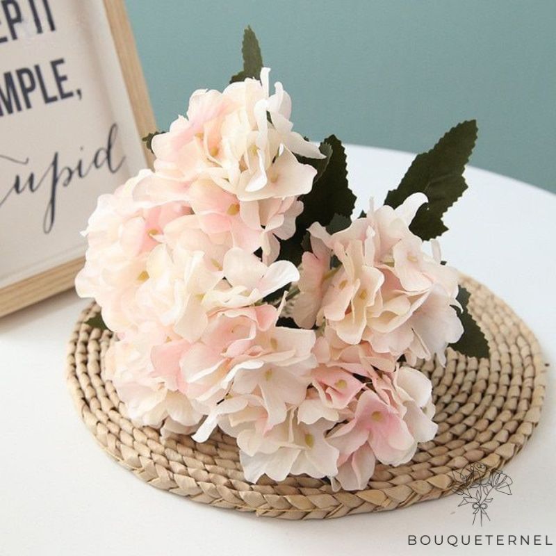 Fleurs de Toussaint qui ne Gèlent pas Rose