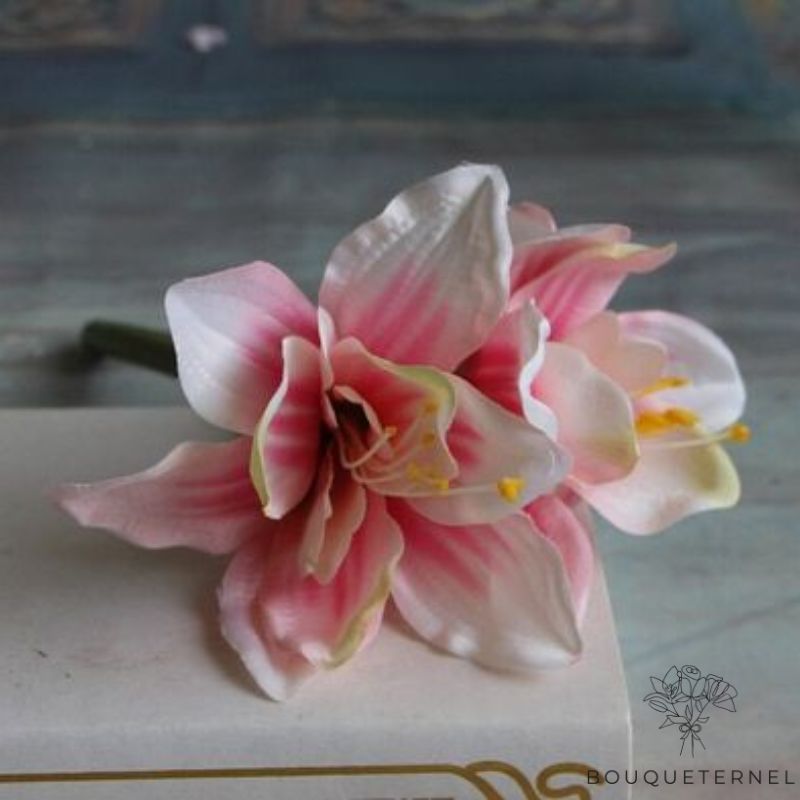 Fleurs pour le Deuil Pas Cher Rose