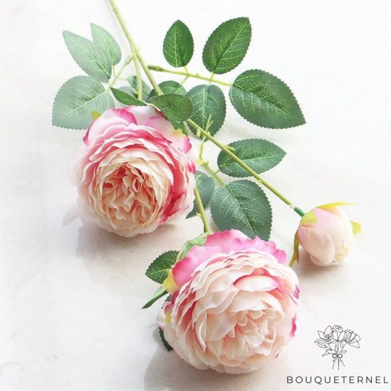 Fleurs Pas Cher de Deuil Rose