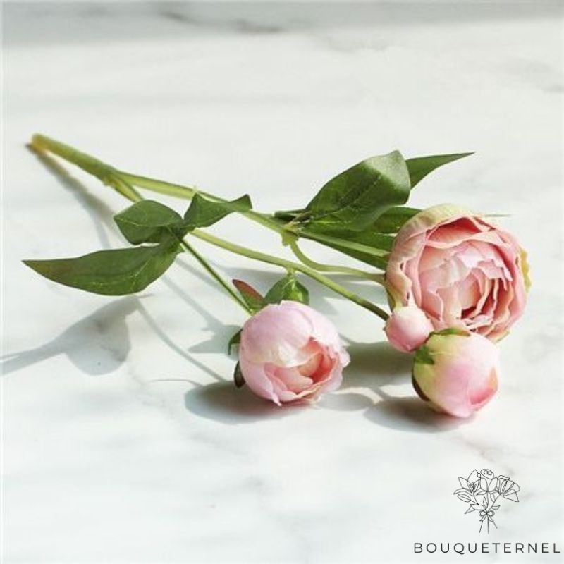 Fleurs pour Deuil Pas Cher Rose