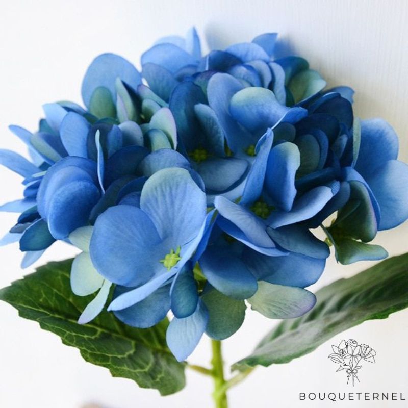 Fleurs pour Tombe Bleue