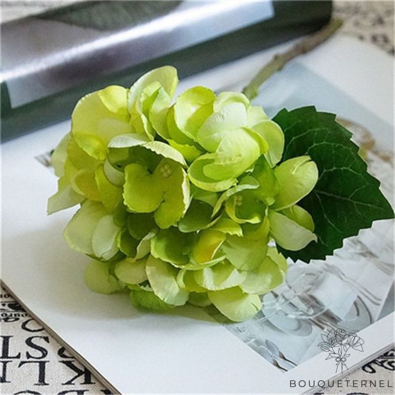 Hortensia Artificiel Vert Verte