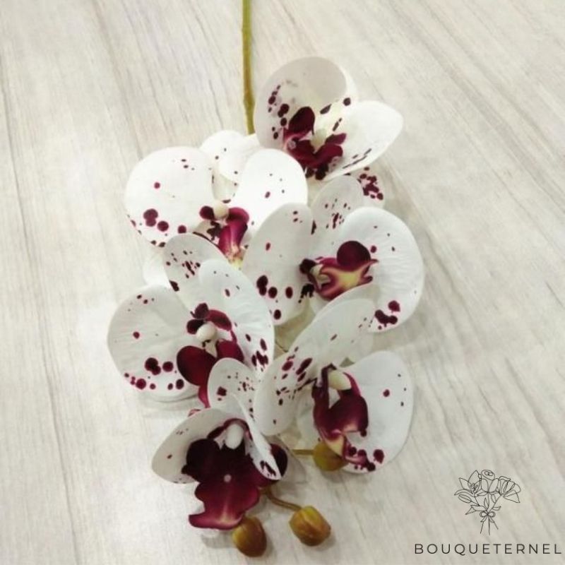 Orchidée Artificielle Blanche Blanche