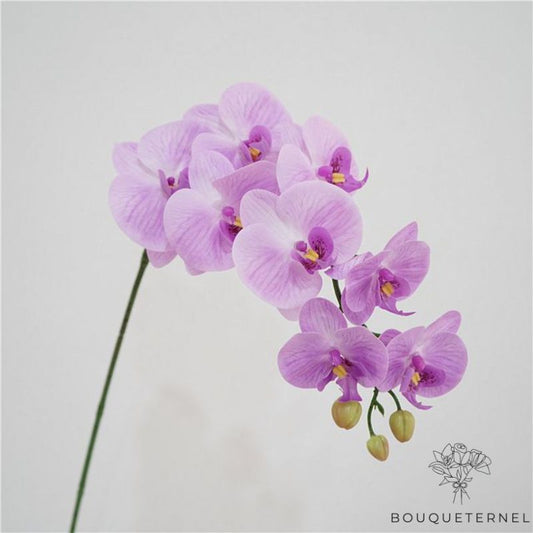 Orchidée Artificielle XXL Rose