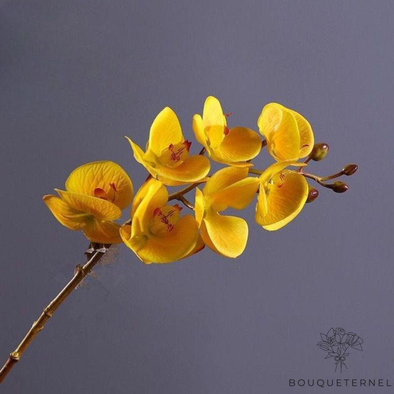 Orchidée Jaune Artificielle Jaune