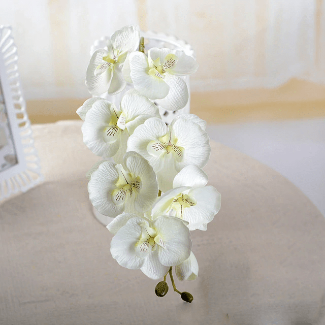 Orchidées Speciosa Artificielles Blanche