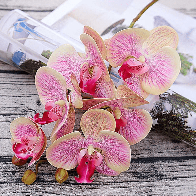 Orchidées Speciosa Artificielles Rose et Jaune