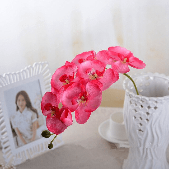 Orchidées Speciosa Artificielles Rose Pâle