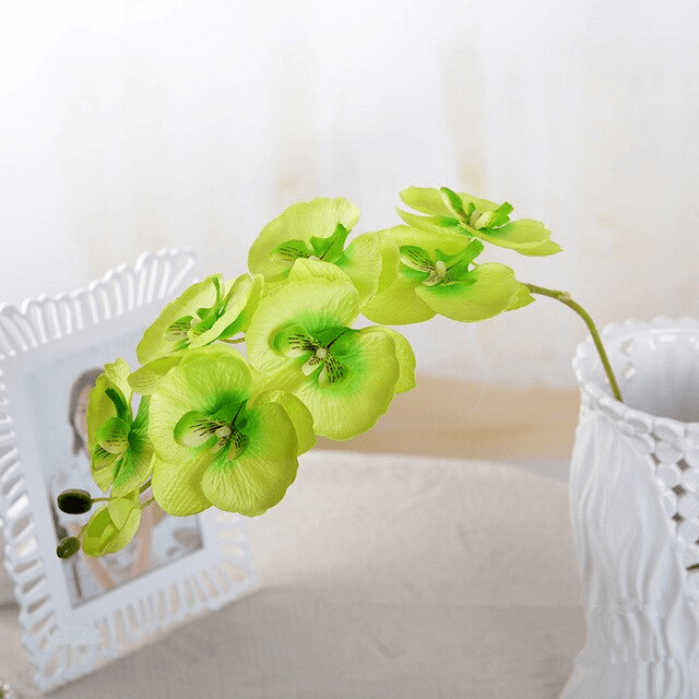 Orchidées Speciosa Artificielles Verte