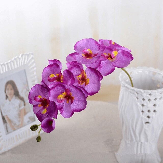 Orchidées Speciosa Artificielles Violet