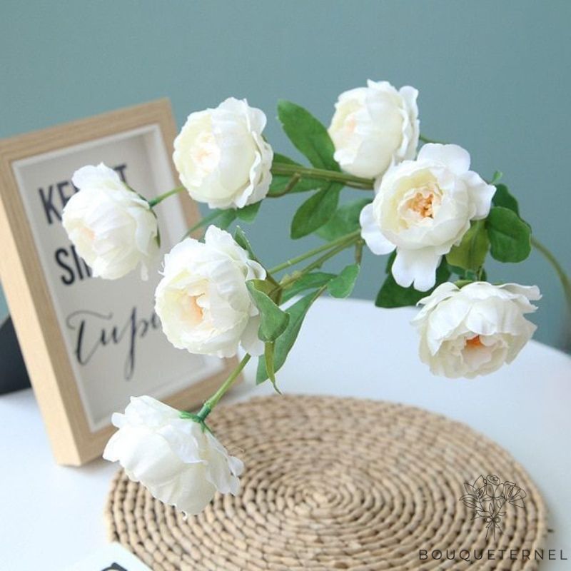 Pivoine Artificielle Blanche Blanche