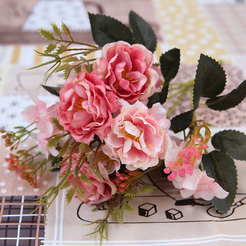 Pivoines Paeonia Emodi Roses