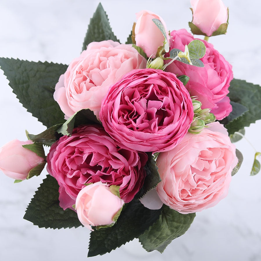 Pivoines Paeonia Lactiflora