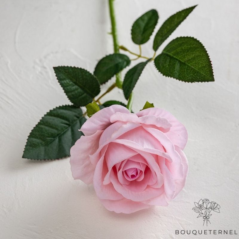 Rose Artificielle Rose Poudré Rose Poudré