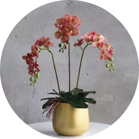 Orchidées Artificielles