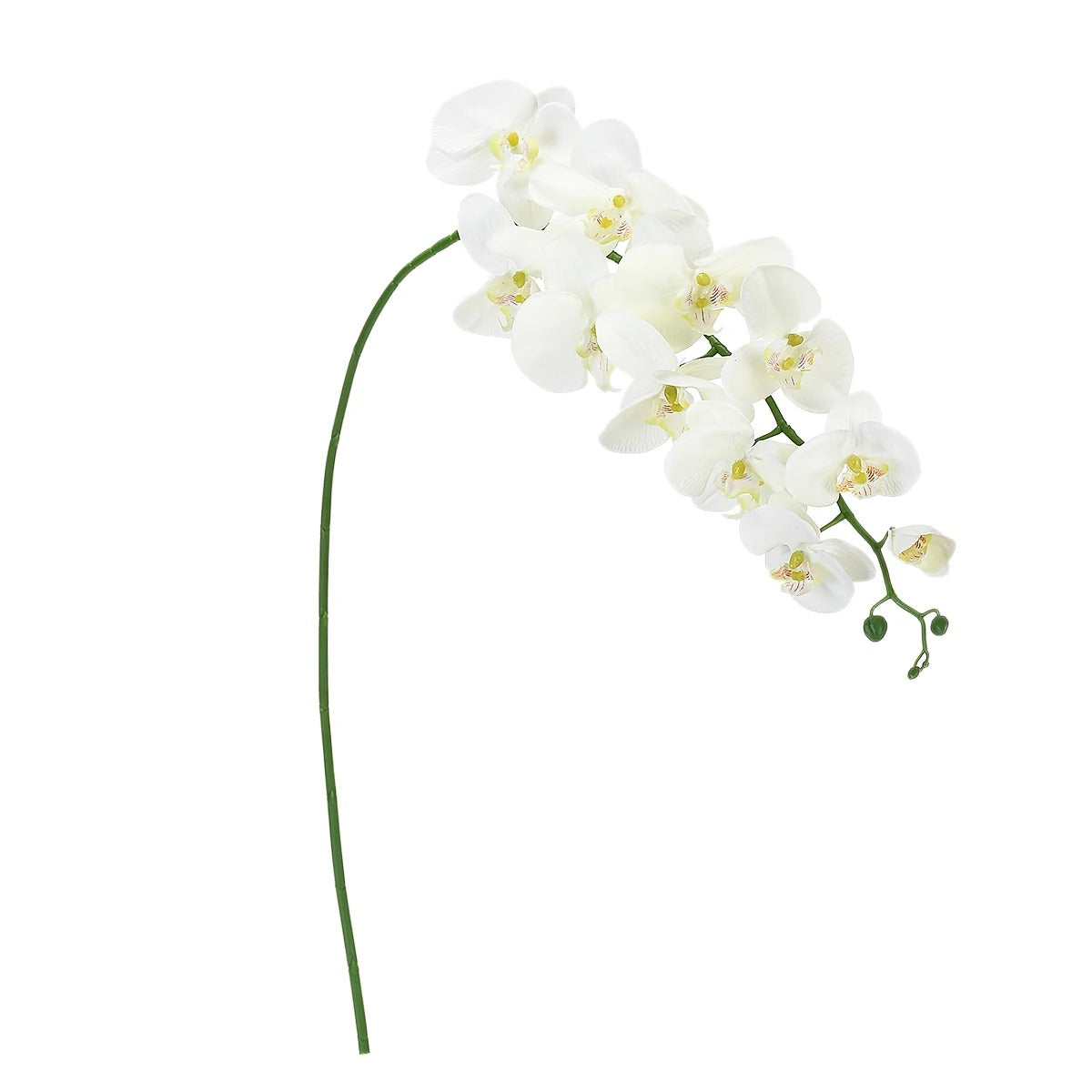 Orchidée Artificielle Grande taille 2