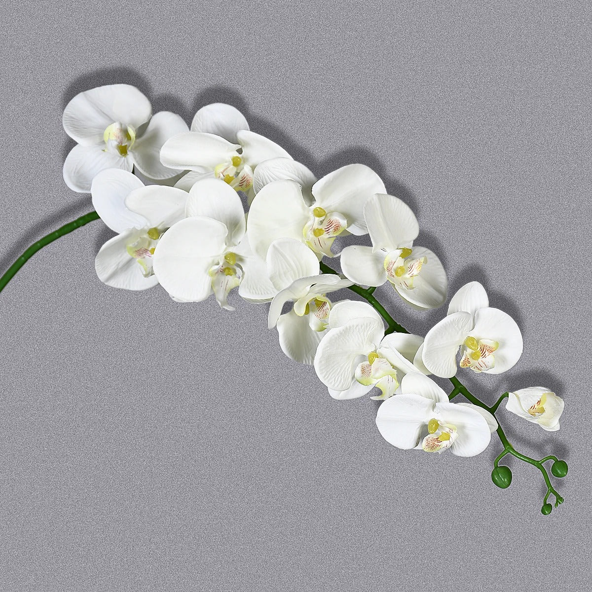 Orchidée Artificielle Grande taille 