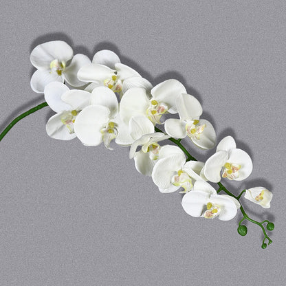 Orchidée Artificielle Grande taille 