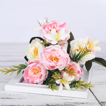Pivoines Paeonia Suffruticosa Rose Pâle
