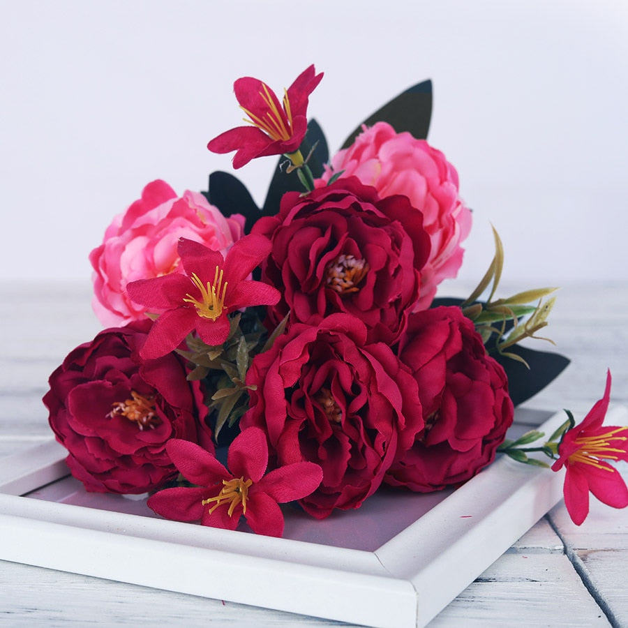 Pivoines Paeonia Suffruticosa Rouge
