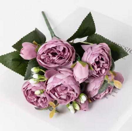 Pivoines Paeonia Suffruticosa Violette