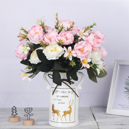 Pivoines Paeonia Suffruticosa