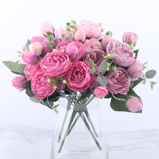 Pivoines Paeonia Lactiflora