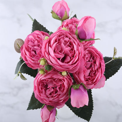 Pivoines Paeonia Lactiflora Roses
